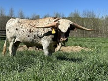 DUNN BEAM ME UP SCOTTY