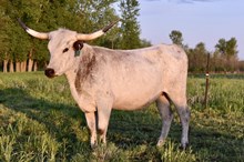 Call Me Little Sunshine