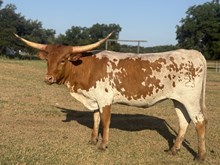 M7 Hydro’s Reputation 