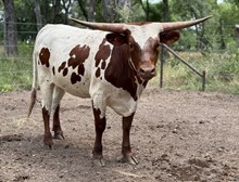 M7 Hydro’s Lucky Catch 