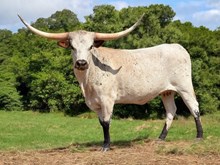 M7 Hydro’s Fancy Catch