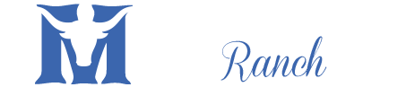 Whistling Longhorn Ranch Logo